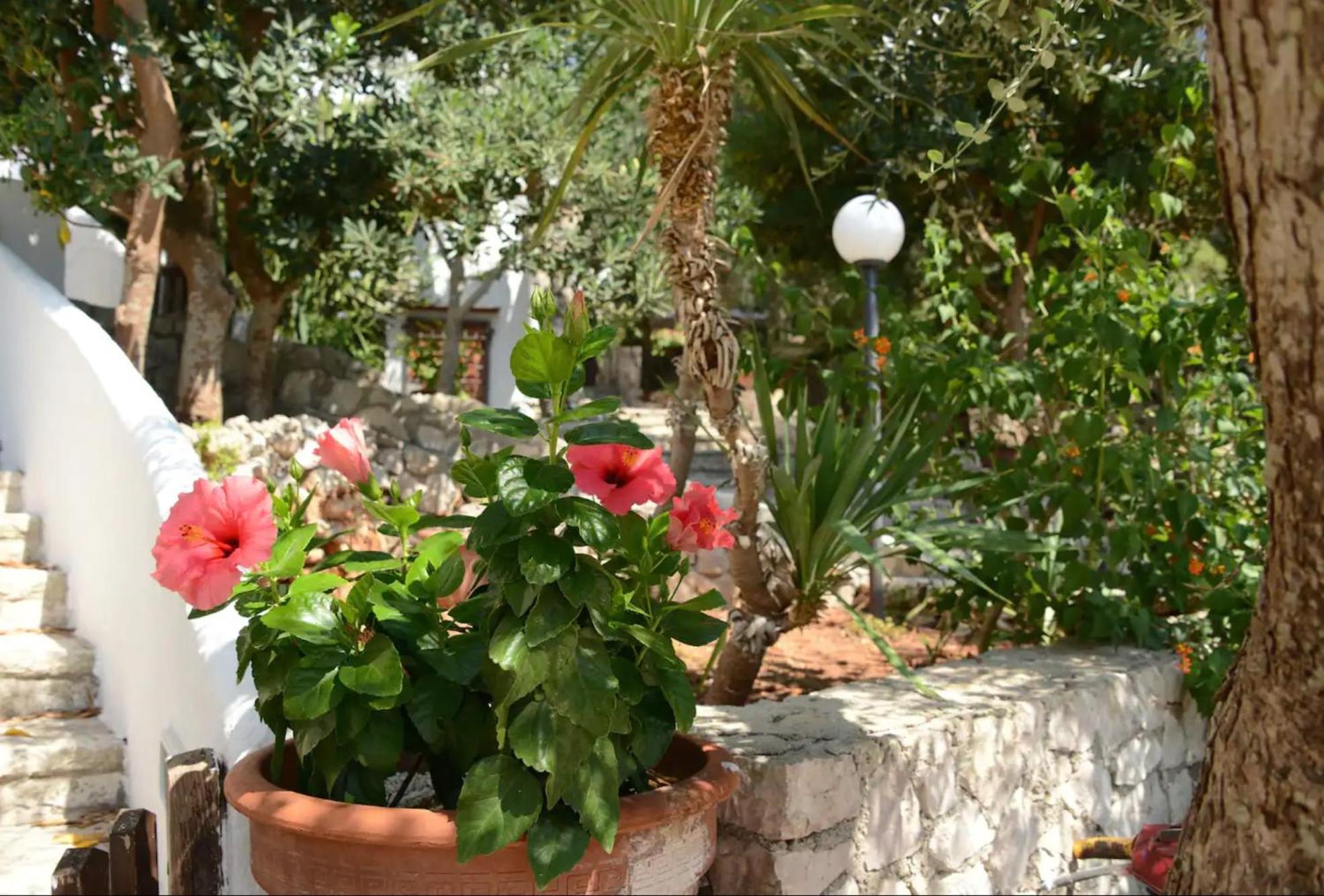 L'Antico Ulivo Villa Santa Cesarea Terme Exterior photo