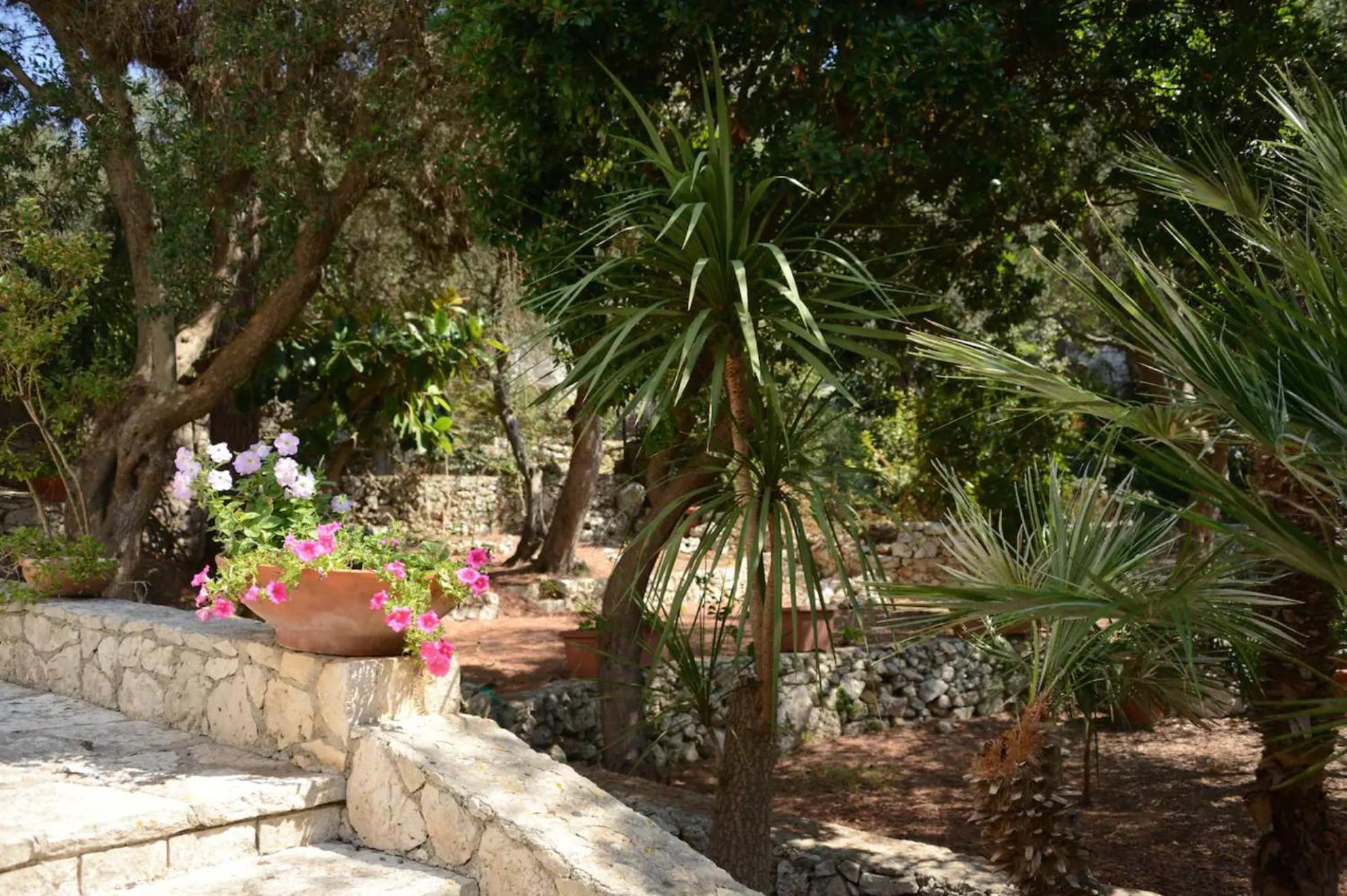 L'Antico Ulivo Villa Santa Cesarea Terme Exterior photo